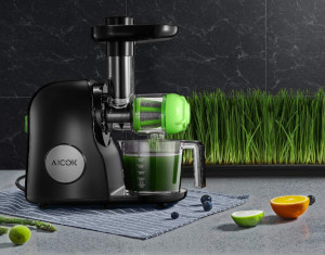 a celery juicer